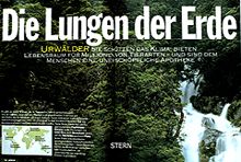 Stern - Lungen der Erde